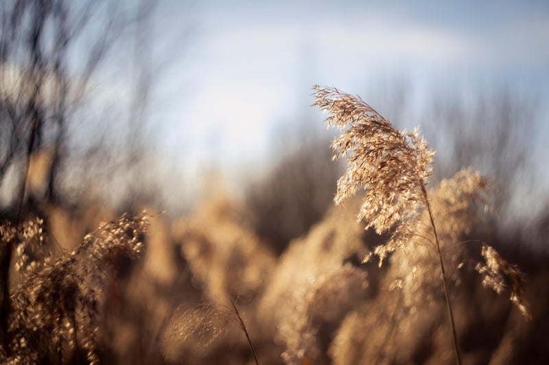 Personal Growth Practices