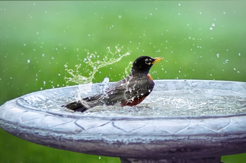 Luxurious Bath